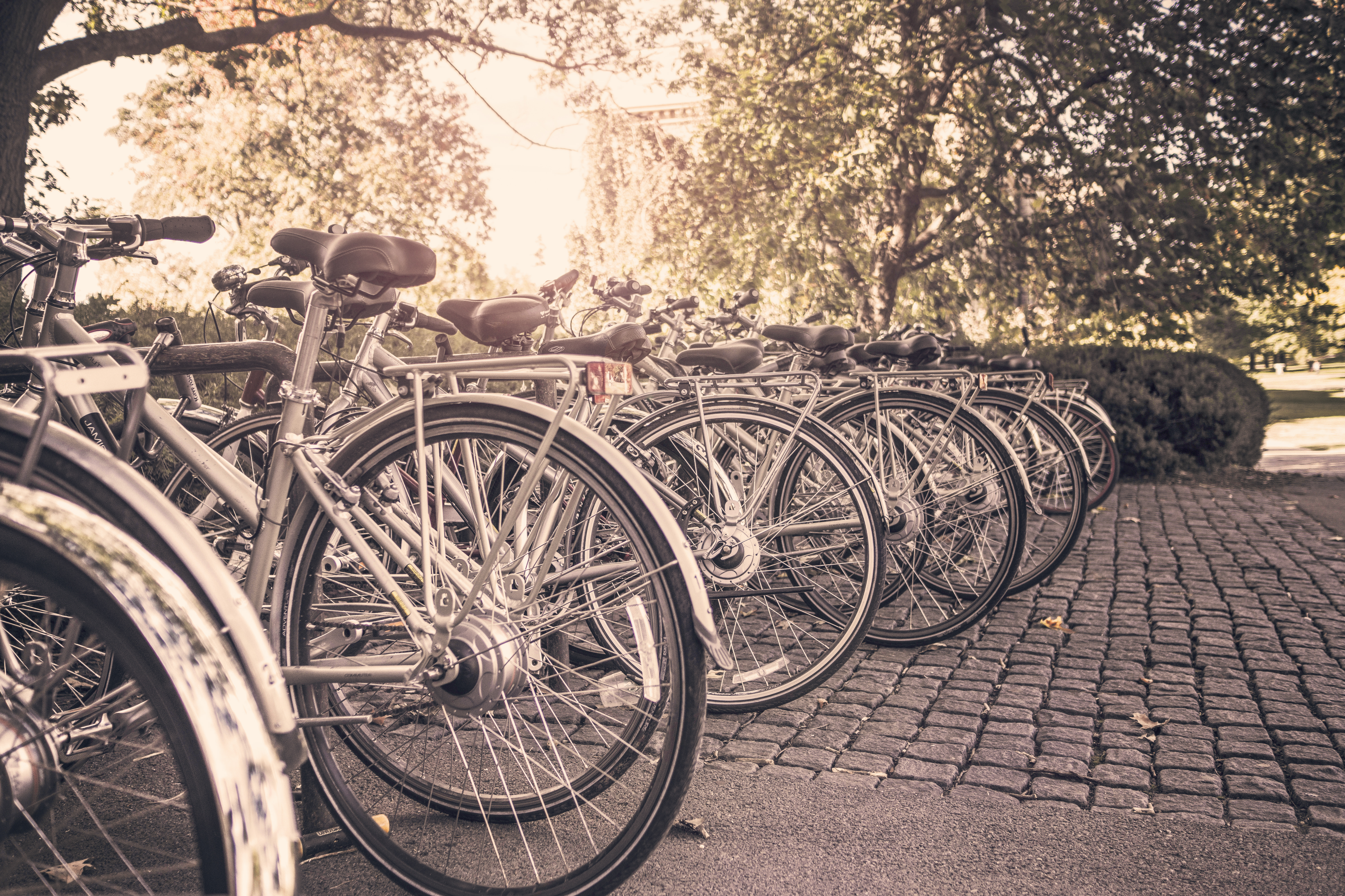 Picture of bicycles